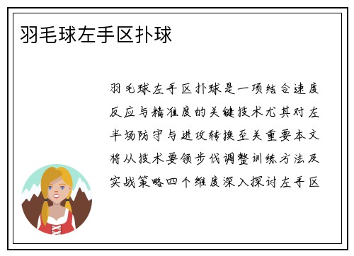 羽毛球左手区扑球